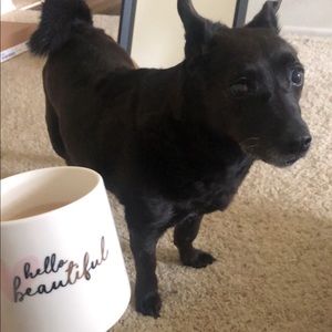 Meet your Posher, Amber